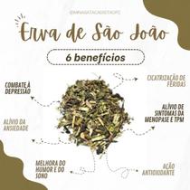 Chá Erva de São João Premium 100 gramas
