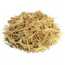 Chá Erva Santa Maria Mentruz 100g - Chenopodium ambrosioides