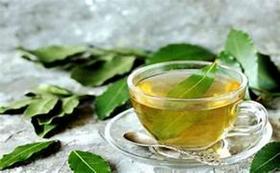 Chá Espinheira Santa 1kg Chá Espinheira Santa 1kg