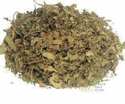 Chá Java (Orthosiphon stamineus) 100g - Benefícios para a Saúde Chá Java (Orthosiphon stamineus) 100g - Benefícios para a Saúde