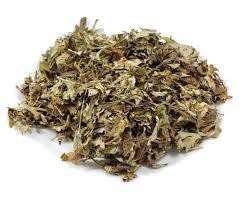 Chá Losna 100g - Artemisia Absinthium