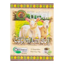 Chá Orgânico de Capim Limão Melissa e Maracujá Tribal 15g Chá Orgânico de Capim Limão Melissa e Maracujá Tribal 15g