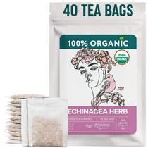 Chá Orgânico de Equinácea Zhivana Organics 40 Sachês Chá Orgânico de Equinácea Zhivana Organics 40 Sachês