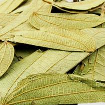 Chá Pata de Vaca 1kg