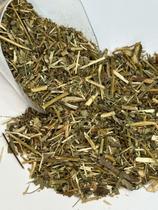 Chá Quebra pedra 1 kg pura