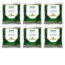 Chá Sálvia Natural Kit 6 Pacotes Chamel Chá Sálvia Natural Kit 6 Pacotes Chamel