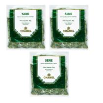 Chá Sene Natural Kit 3 Pacotes Chamel Chá Sene Natural Kit 3 Pacotes Chamel