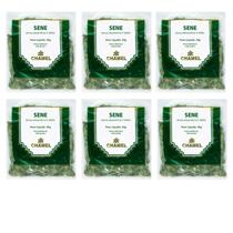 Chá Sene Natural Kit 6 Pacotes Chamel Chá Sene Natural Kit 6 Pacotes Chamel