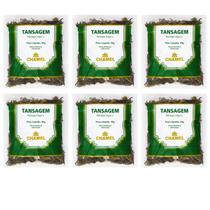 Chá Tansagem Natural Kit 6 Pacotes Chamel