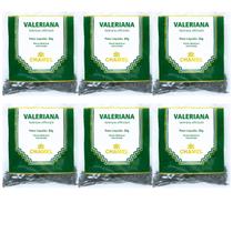 Chá Valeriana Natural Kit 6 Pacotes 30g Cada Chamel Chá Valeriana Natural Kit 6 Pacotes 30g Cada Chamel