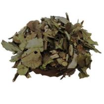 Chá verde Banchá 100Gr (Erva seca) - Top Life