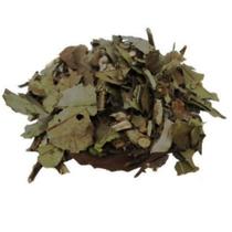 Chá Verde Banchá 1Kg ((Camellia Sinensis) - Top Life