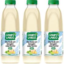 Chá Verde C/ Gengibre e Limão 900ml Campo Largo Kit 3 Unid Chá Verde C/ Gengibre e Limão 900ml Campo Largo Kit 3 Unid