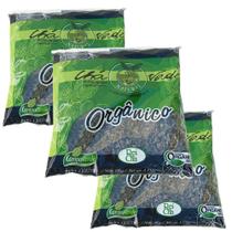 Chá Verde Orgânico das Folhas Campo Verde 3 pacote 100g cada