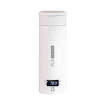 Chaleira Elétrica Portátil De Aço Inoxidável Para Viagem, Aquecedor Rápido De Água E Leite Para