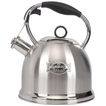 Chaleira para Fogão, Chaleira de Água em Aço Inoxidável Grau Alimentício, Bule de Chá para Casa e Cozinha, 3,0 Qt