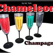 Chameleon Champanhe by Van J+