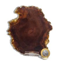Chapa Ágata Natural Lapidado Porta Frios 13,7 cm 197 g