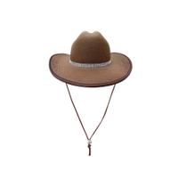 Chapeu Cowboy Com Strass Preto Menina Cowgirl Country