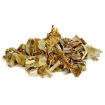 Chapéu de Couro 1Kg( Echinodorus grandiflorus)