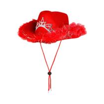 Chapéu de Cowboy Ocidental com Penas - Aba Larga de Feltro de Lã - Festa e Halloween