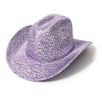 Chapéu de cowboy Spiderweb Purple EVA Composto Jeans Unissex Chapéu de cowboy Spiderweb Purple EVA Composto Jeans Unissex