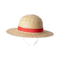 Chapéu De Palha Unissex Adulto Para Cosplay De Anime, Boné Luffy, Acessório De Verão Para Proteção