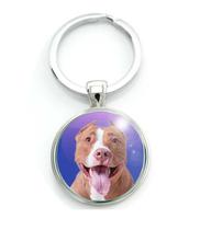 Chaveiro Cão Pitbull Raça Canina American Pit Bull Terrier