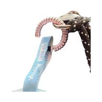 Chaveiro De Silicone Colorido Labubu Com Fivela Anti-Queda, Anel De Boneca, Acessório De Proteção