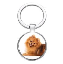 Chaveiro Spitz Alemão Raça de Cachorro Pet