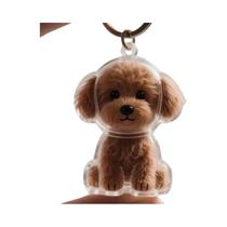 Chaveiro Transparente De Armazenamento De Pelos De Gato E Cachorro Em Estilo Cartoon, Presente