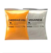 Cheddar Vegano 1,1kg + Maionese Vegana 1,1kg Junior - Kit Cheddar Vegano 1,1kg + Maionese Vegana 1,1kg Junior - Kit