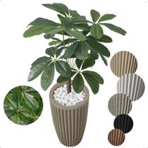 Cheflera Artificial Variegata Verde Grande Vaso Decoração Cheflera Artificial Variegata Verde Grande Vaso Decoração