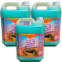 Cheirinho Aromatizante Carro Casa Ambientes 5 Litros 3 Un.