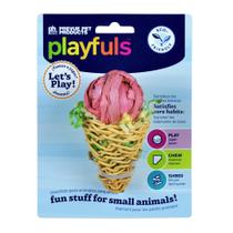 Chew Toy Prevue Pet Products Cone crocante para pequenos animais