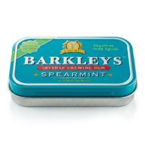 Chiclete Importado Barkleys Chewing Gum Spearmint Hortelã Sem Açúcar Holandês 30g Chiclete Importado Barkleys Chewing Gum Spearmint Hortelã Sem Açúcar Holandês 30g