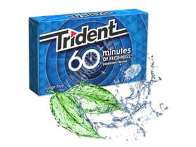 Chiclete Trident 60 Minutes Peppermint Importado 20g Chiclete Trident 60 Minutes Peppermint Importado 20g