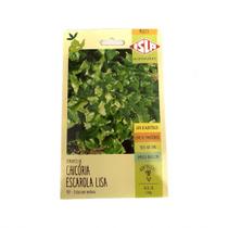 Chicória Escarola Lisa - 2.40gr de Sementes Chicória Escarola Lisa - 2.40gr de Sementes