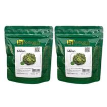 Chicória Malan 10000 Sementes Horticeres Alta Qualidade Em Plantio Profissional Chicória Malan 10000 Sementes Horticeres Alta Qualidade Em Plantio Profissional