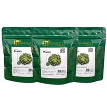 Chicória Malan 15000 Sementes Horticeres Alta Qualidade Em Plantio Profissional Chicória Malan 15000 Sementes Horticeres Alta Qualidade Em Plantio Profissional