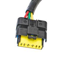 Chicote Bomba Combustível Citroen Peugeot Renault Completo 4 Vias - Rainha das Sete - ETE5242 Chicote Bomba Combustível Citroen Peugeot Renault Completo 4 Vias - Rainha das Sete - ETE5242