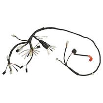 Chicote completo magnetron pop 100 07/08