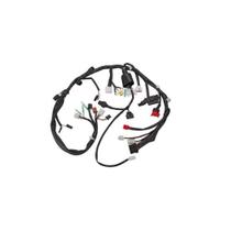 Chicote Fiação Principal Magnetron CG 150 Titan EX ESD 11-13 Chicote Fiação Principal Magnetron CG 150 Titan EX ESD 11-13