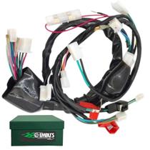 Chicote Fiação Principal - Shineray Phoenix 50 Chicote Fiação Principal - Shineray Phoenix 50