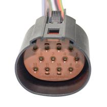 Chicote Injeção Eletrônica Ford Mondeo 1.8 2.0 12 Vias Fêmea - Rainha das Sete - ETE5805