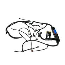 Chicote Motor Modulos Fh13,Fm13,Fm11 Pettenuzzo 22018636