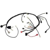 Chicote Principal Fiação - BIZ 125 KS de 2009/10 - GASOLINA