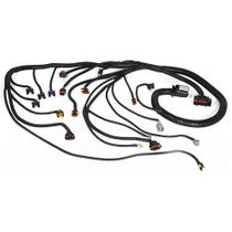 Chicote Sistema de Injeção Eletrônica Fiat Palio 1.0 1.4 Chicote Sistema de Injeção Eletrônica Fiat Palio 1.0 1.4