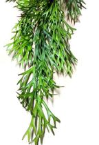 Chifre De Veado Pendente Artificial Suculenta Árvore Planta, 80 cm