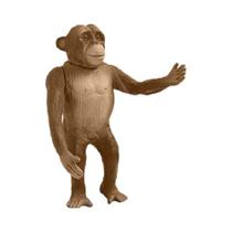 Chimpanzé de vinil ref VB304